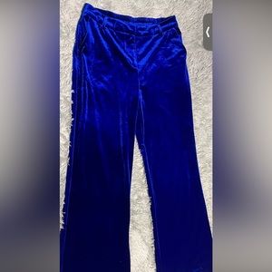 Skies are Blue Vibrant Blue Velvet Slacks